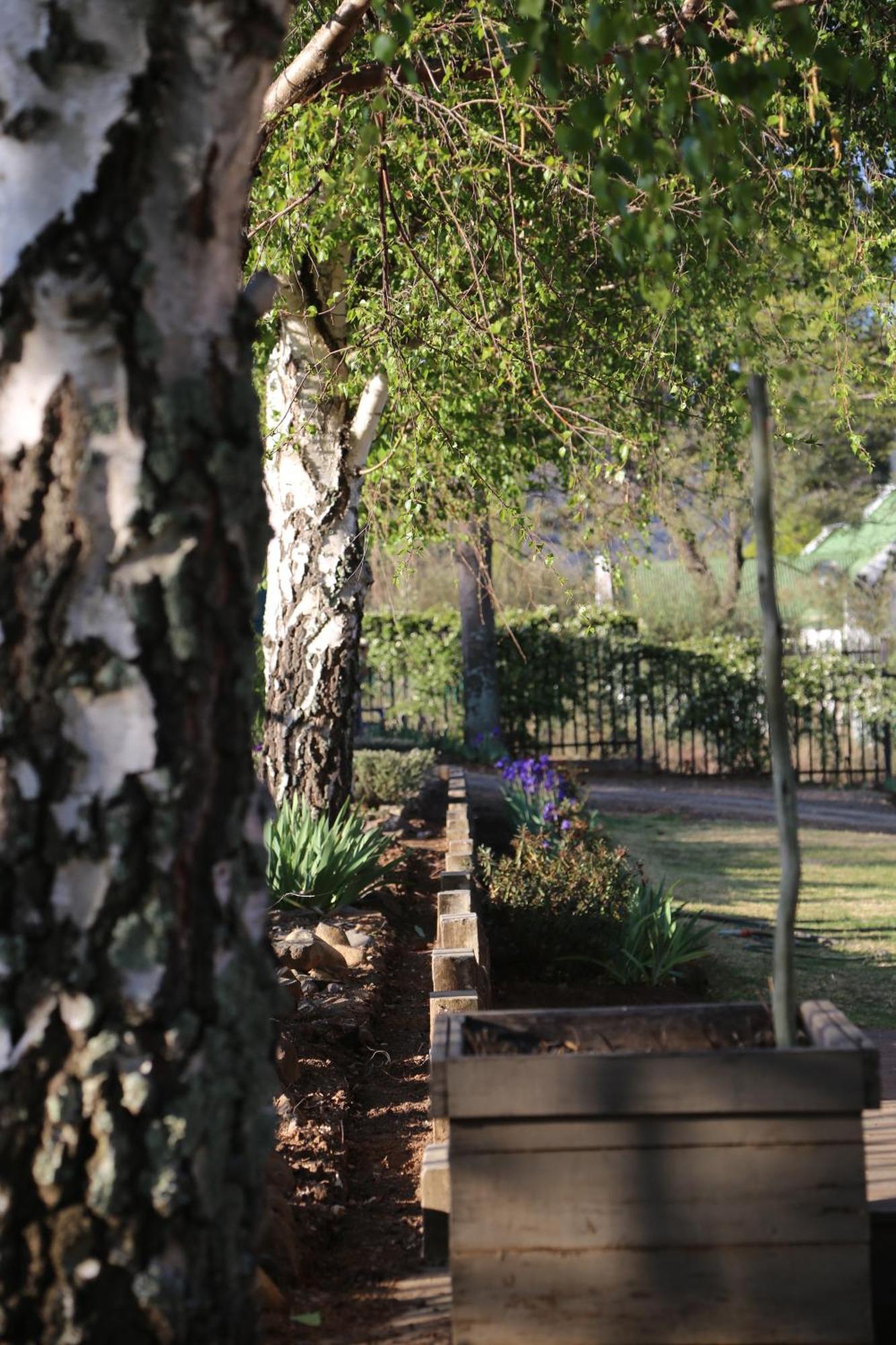 Mt Horeb Manor クラレンス エクステリア 写真