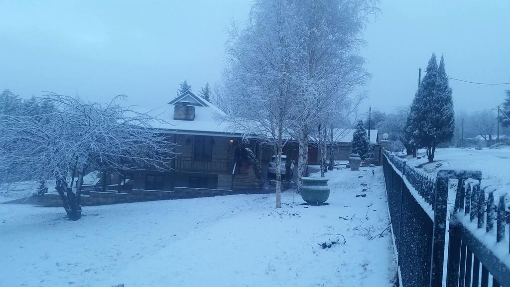 Mt Horeb Manor クラレンス エクステリア 写真